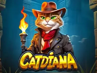 TomCasino screenshot