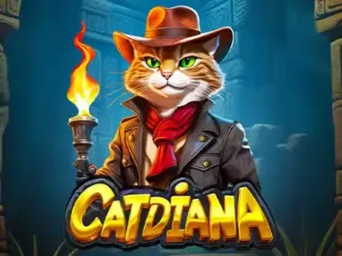 TomCasino screenshot